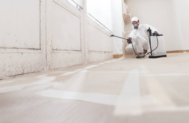 24/7 Emergency Commercial Mold Remediation experts in Pendleton, NC