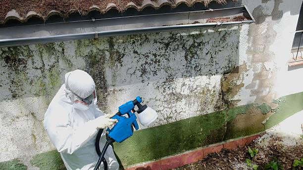 Trusted Crawl Space Mold Removal service in Pendleton, NC - Cheap Mold Removal
